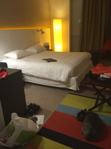 Hur skön ser en säng på ett trist hotellrum ut efter åtta timmars tröstlöst bilkrypande?